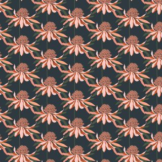 RACHELLE HOLOWKO COLLECTION