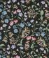 DECADES IN BLOOM ASAKA DREAM C