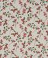 DECADES IN BLOOM PANSY SCATTER D