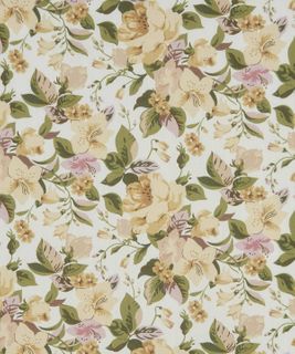 DECADES IN BLOOM LILY ROSA C