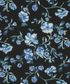 DECADES IN BLOOM CHRISTINA VINE D