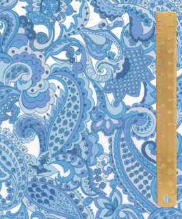 SS26 - FLORAL REBELLION MR PAISLEY B