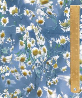 SS26 - FLORAL REBELLION BABA C