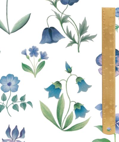 SS26 - FLORAL REBELLION FLORAL MAJESTY B