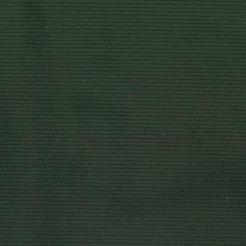 CORD 11 WALE  FOREST