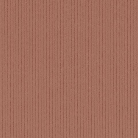 CORD 11 WALE  TERRACOTTA