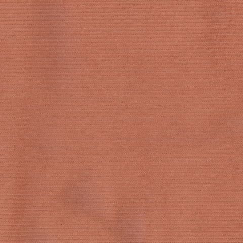 CORD 11 WALE  TERRACOTTA