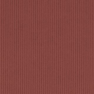 CORD 11 WALE  RUST