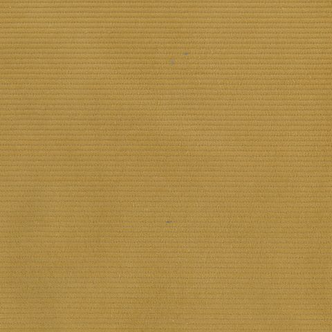 CORD 11 WALE  MUSTARD