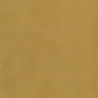 CORD 11 WALE  MUSTARD