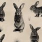 HARELOOM
