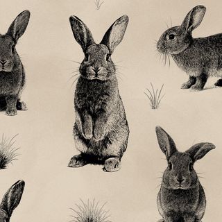 HARELOOM