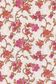 TANA LAWN AW25 JUDY JANE B