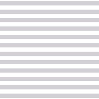 #FUNDAMENTALS 1/2 STRIPE SILVER GUM
