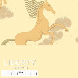 EASTERN EDIT DECO DRESSAGE B