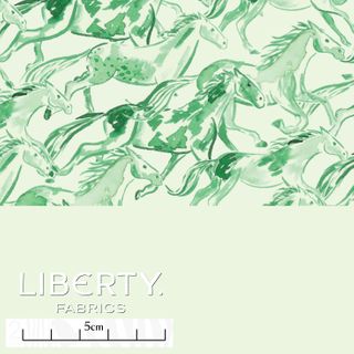 EASTERN EDIT WILD HORSES B