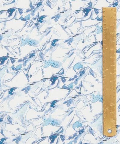 EASTERN EDIT WILD HORSES C