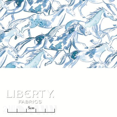 EASTERN EDIT WILD HORSES C