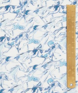 EASTERN EDIT WILD HORSES C