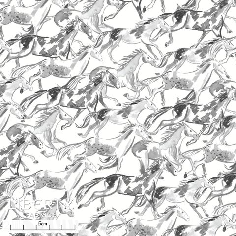 EASTERN EDIT WILD HORSES A