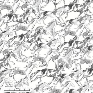 EASTERN EDIT WILD HORSES A