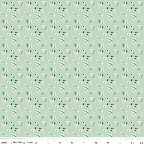BERRY & SAGE DAISY SAGE