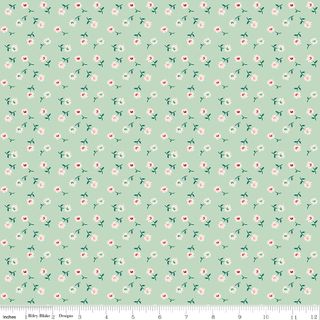 BERRY & SAGE DAISY SAGE