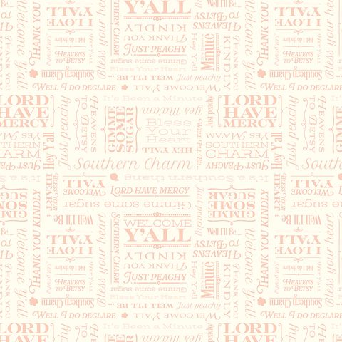 SOUTHERN CHARM TEXT CLOUD