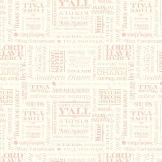SOUTHERN CHARM TEXT CLOUD