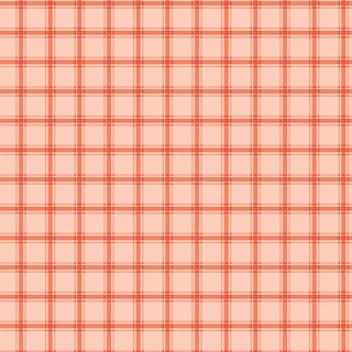 SOUTHERN CHARM GINGHAM PEACHES 'N CREAM