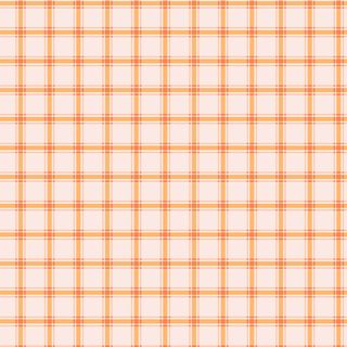 SOUTHERN CHARM GINGHAM PINK
