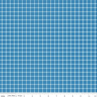 SUMMER'S IN TOWN PLAID BLUE