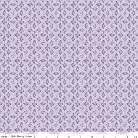 DAYBREAK ON THE PRAIRIE GEO PURPLE