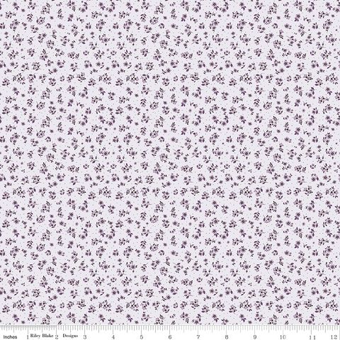 DAYBREAK ON THE PRAIRIE DITSY PURPLE