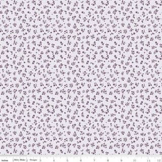 DAYBREAK ON THE PRAIRIE DITSY PURPLE