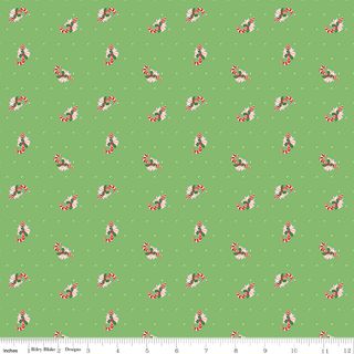 CLAUS & CO. CANDY CANE TOSS GREEN