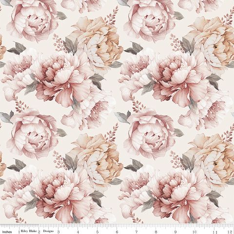 DAYBREAK ON THE PRAIRIE PEONIES CREAM