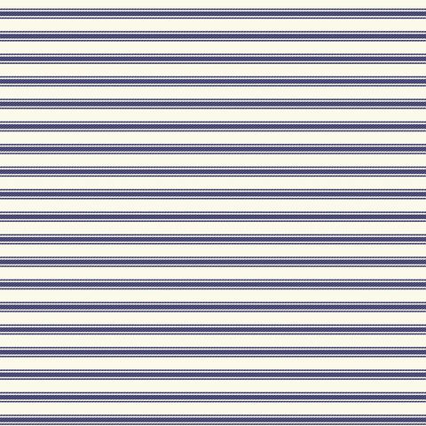 TICKING STRIPE NAVY NATURAL