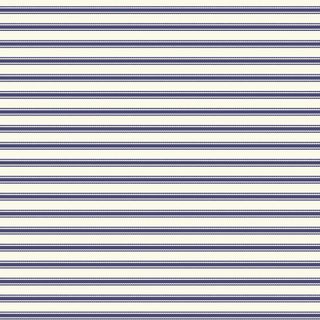 TICKING STRIPE NAVY NATURAL