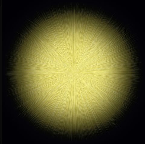 FUSION 110CM PANEL