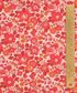 TANA LAWN CLASSIC CAPSULE 2024 BETSY AA