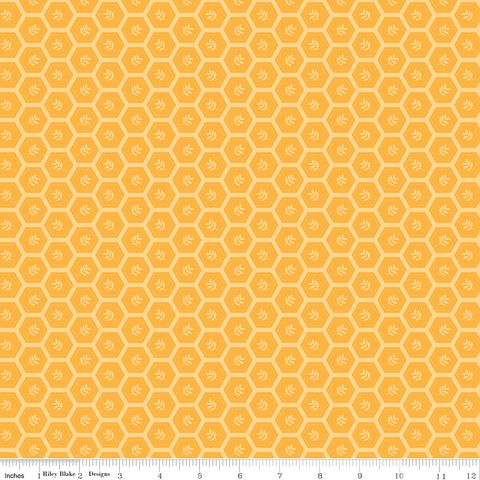 SUNSHINE & DANDELIONS HEXIES DAISY