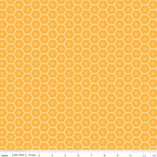 SUNSHINE & DANDELIONS HEXIES DAISY