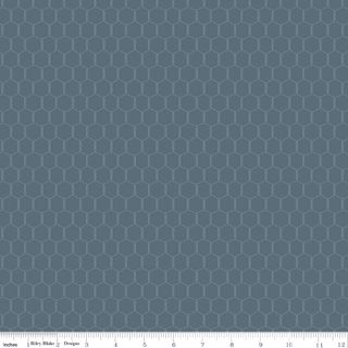 LIL' FARM FRIENDS CHICKEN WIRE THUNDER