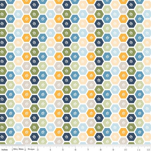 SUNSHINE & DANDELIONS HEXIES MULTI