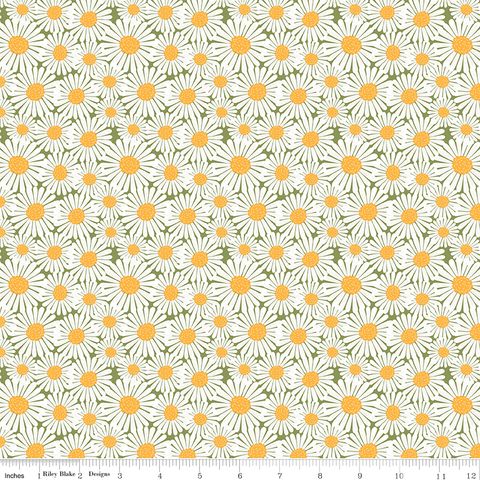 SUNSHINE & DANDELIONS DAISIES GREEN