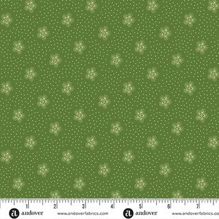SNOWBERRY
