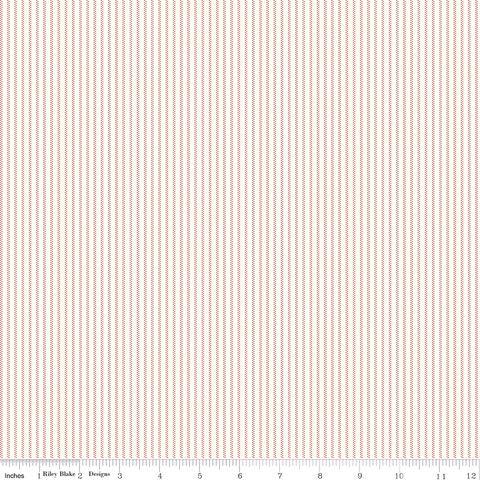 MARY CATHERINE STRIPE CLOUD
