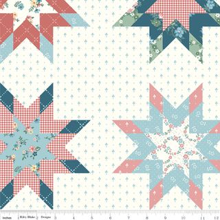 MARY CATHERINE STAR CHEATER PRINT MULTI