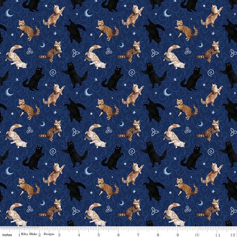 CELTIC CATS CATS NAVY